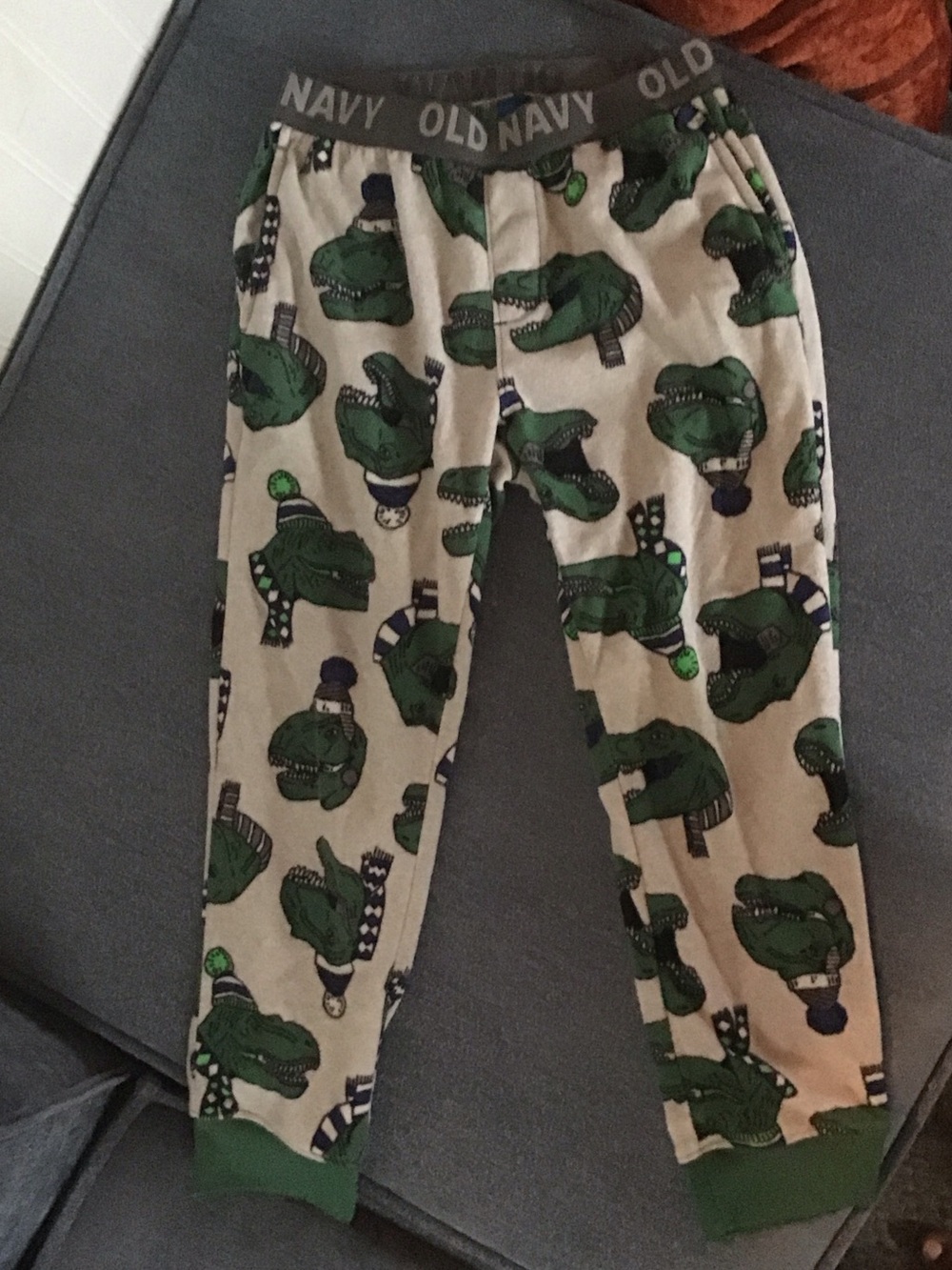Old Navy Boys Green Dinosaur Print Beige Pajama Bottoms